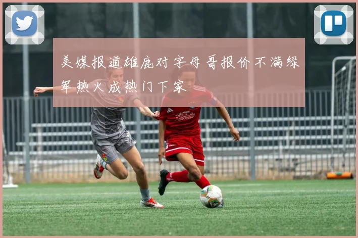 美媒报道雄鹿对字母哥报价不满绿军热火成热门下家